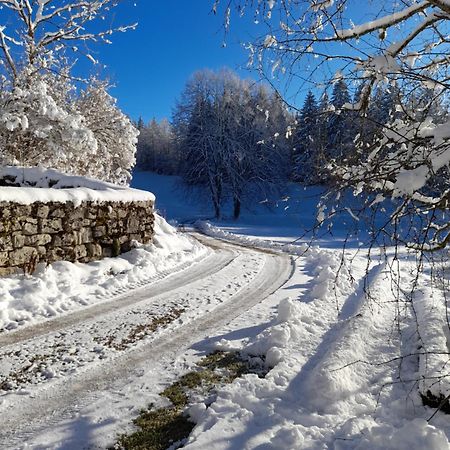 Bed and Breakfast Ch'Tit Jura Les Moussieres Exterior foto